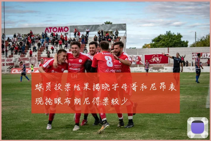 球员投票结果揭晓字母哥和尼昂表现抢眼布朗尼得票较少