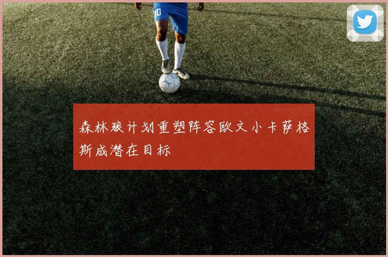 森林狼计划重塑阵容欧文小卡萨格斯成潜在目标